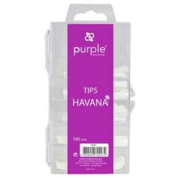 PURPLE Tips HAVANA 100uds P711